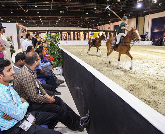 معرض دبي الدولي للخيل يقدم أفضل منصة لعرض تقنيات الفروسية