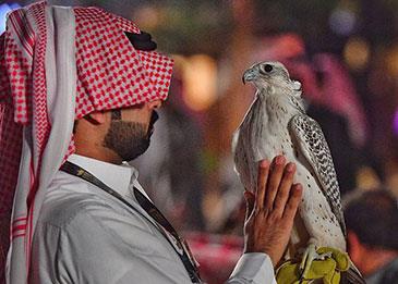 فيديو يحقق ملايين المشاهدات .. صقور على متن الطائرة